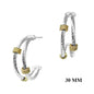 Silver Wired with Gold Rhinestone Accents 1.5" Earring